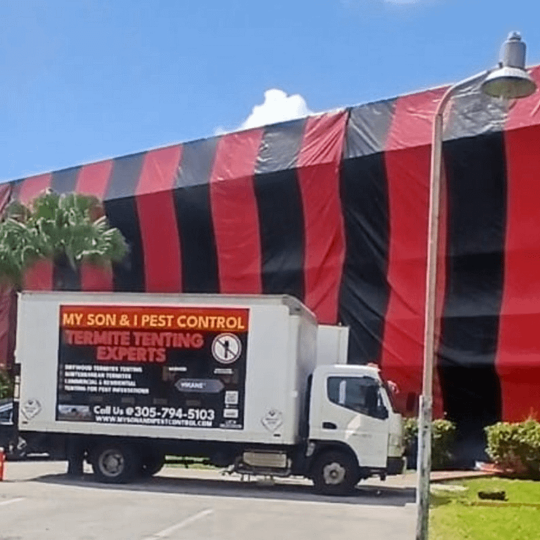 Untitled design (4) subterranean termites