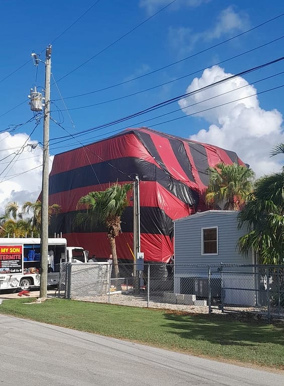 97c8e852-2f00-4e53-a075-3feef0165126 Termite Control Specialists