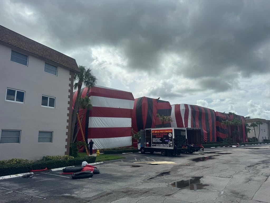 Termite and pest control specialists