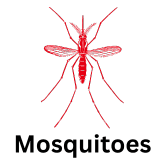 Mosquito in Red with text and space Mosquito Icon