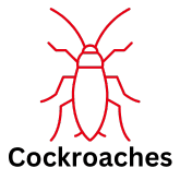 Roach with text spaced Cockroach icon