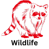 Wildlife icon red with text and space Wildlife Icon in red with text
