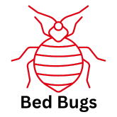 bed bug icon with text and space bed bug icon with text