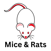 mice rat icon in red with space mice and rats icon