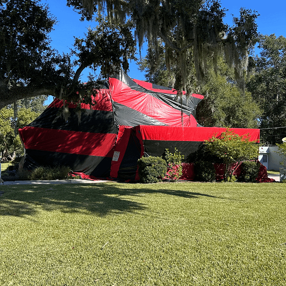 Untitled design (20) Tampa Bay Termite Fumigation Experts