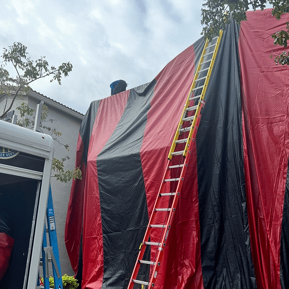 Untitled design (5) Tampa Bay Termite Fumigation Professionals