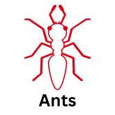 Ant icon with text and space Ant icon in red