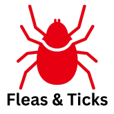 flea icon in red with space fflea and tick icon