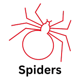 Ants (21)