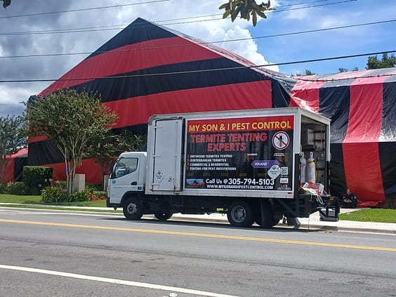 c7516df9-31de-4ef8-8fc8-273940f6e005 termite and pest control specialists