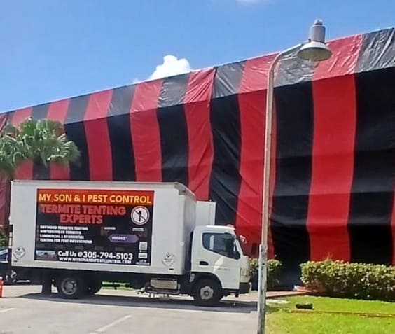 Screenshot termite fumigation and drywood termite tenting